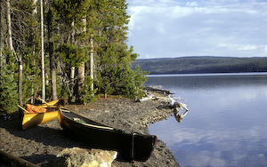 Yellshoshone_lake_canoes