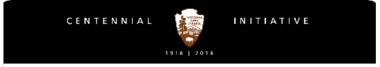 Centennialinitiative_copy_3