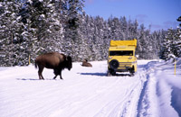 Bisonsnowcoach