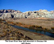 Dinogreenriver_copy