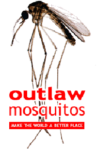 Mosquito_copy