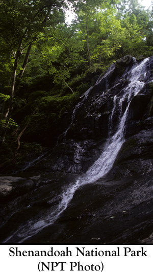 Shenwaterfall_copy