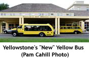 Yellowbus_copy_1