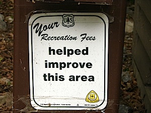Alternate Text