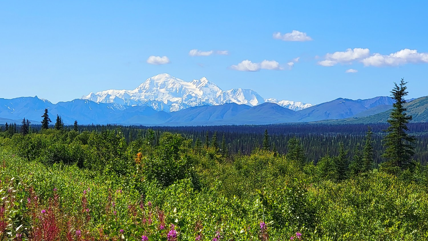 Mount Denali in all its glory Mount Denali in all its glory