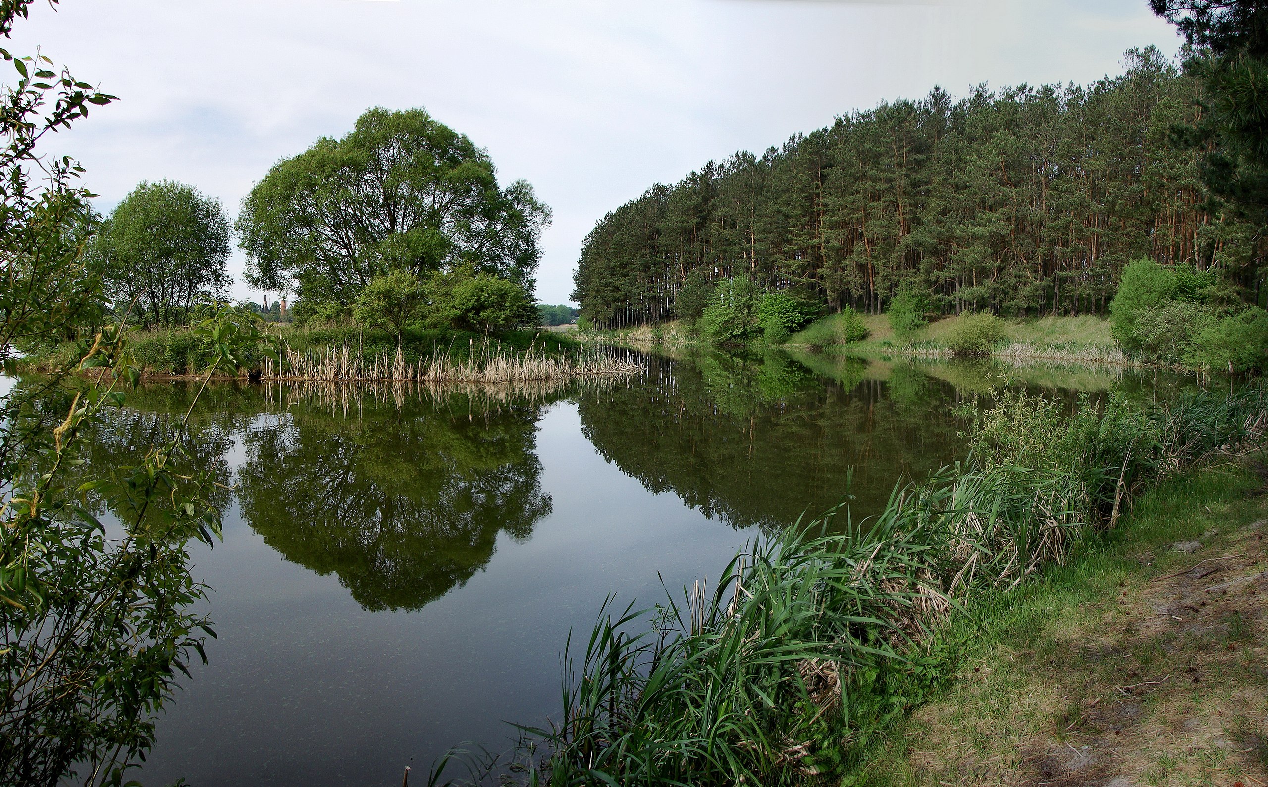 Desnyansko-Starogutskyi National Protected Park / Wikipedia