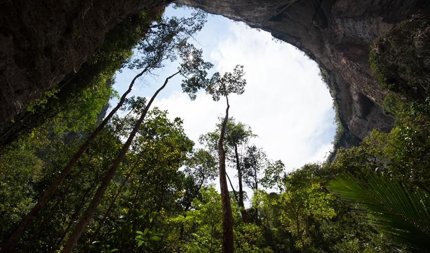 A panhole at Chiribiquete National Park, Colombia/IUCN, Charles Besancon