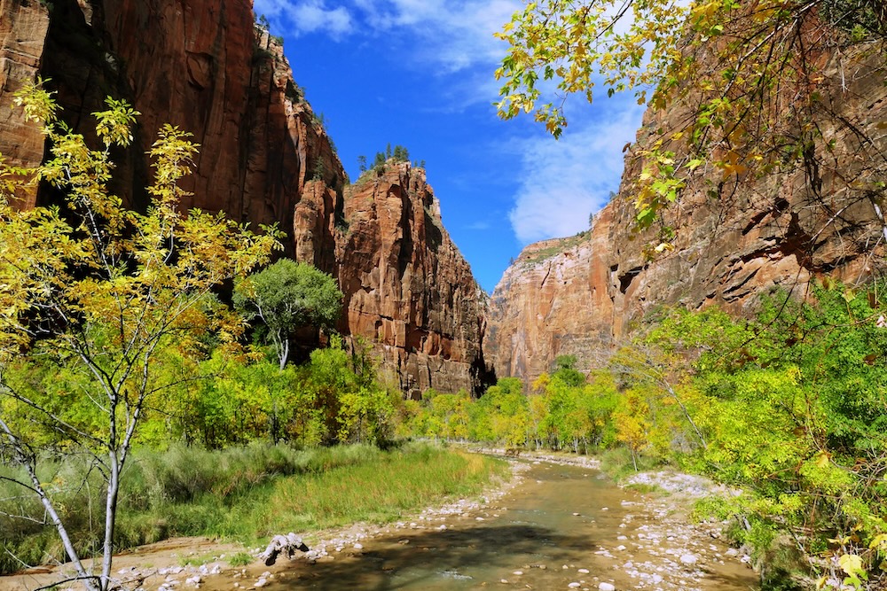 Virgin River, Zion NP
