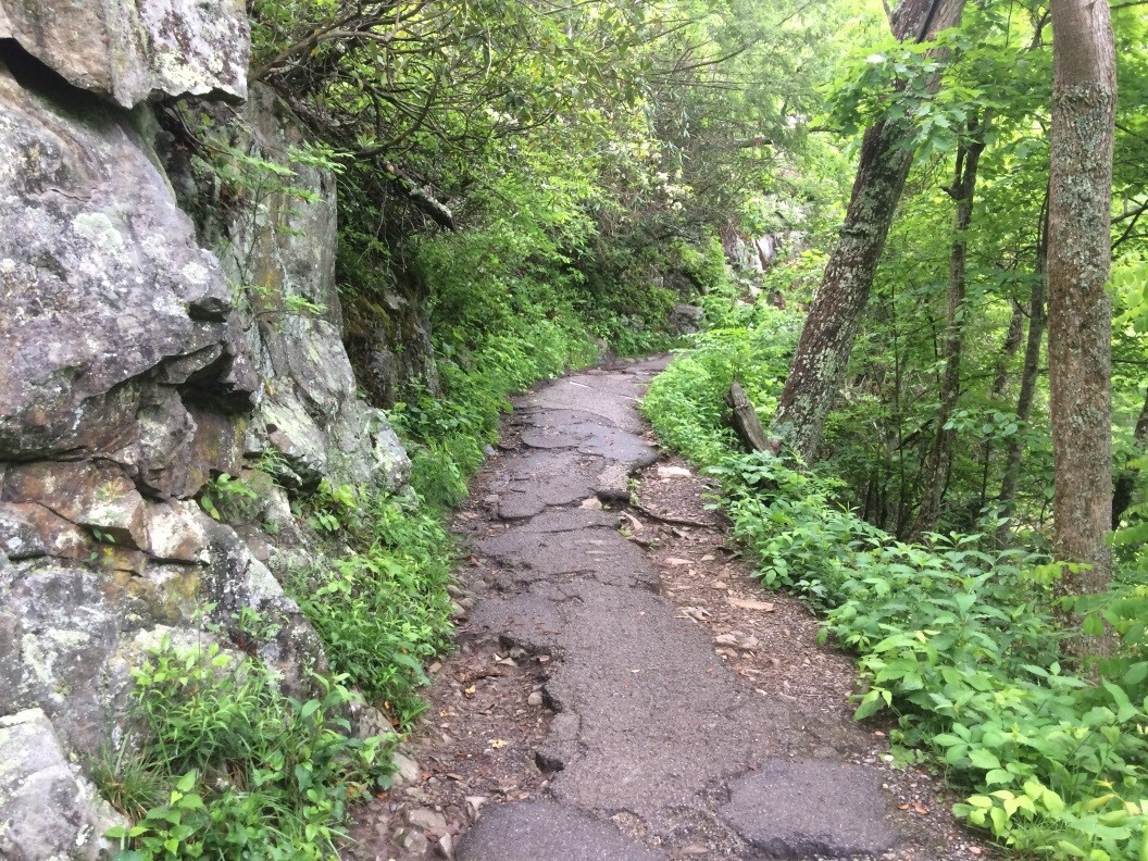 Trail in need of repair / NPS