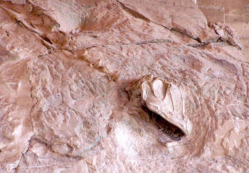 Dinosaur National Monument has closed to the public due to the coronavirus pandemic/NPS file