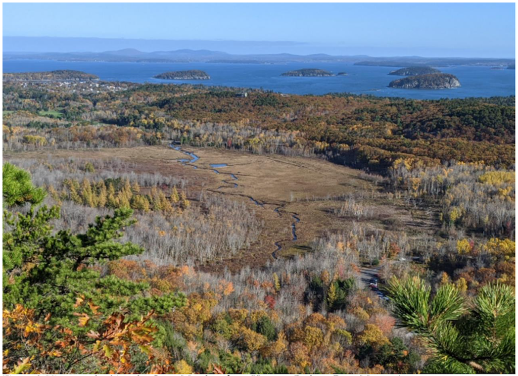 A view of Great Meadow from Dorr Mountain/NPS file