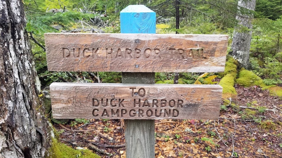 This is the way to Duck Harbor/Kim O'Connell