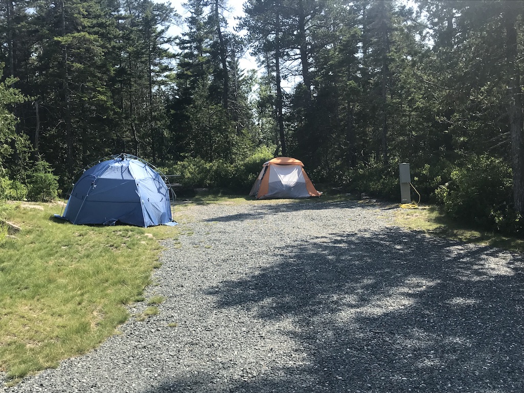 A campsite at Schoodic Woods Campground in Acadia National Park/Kurt Repanshek
