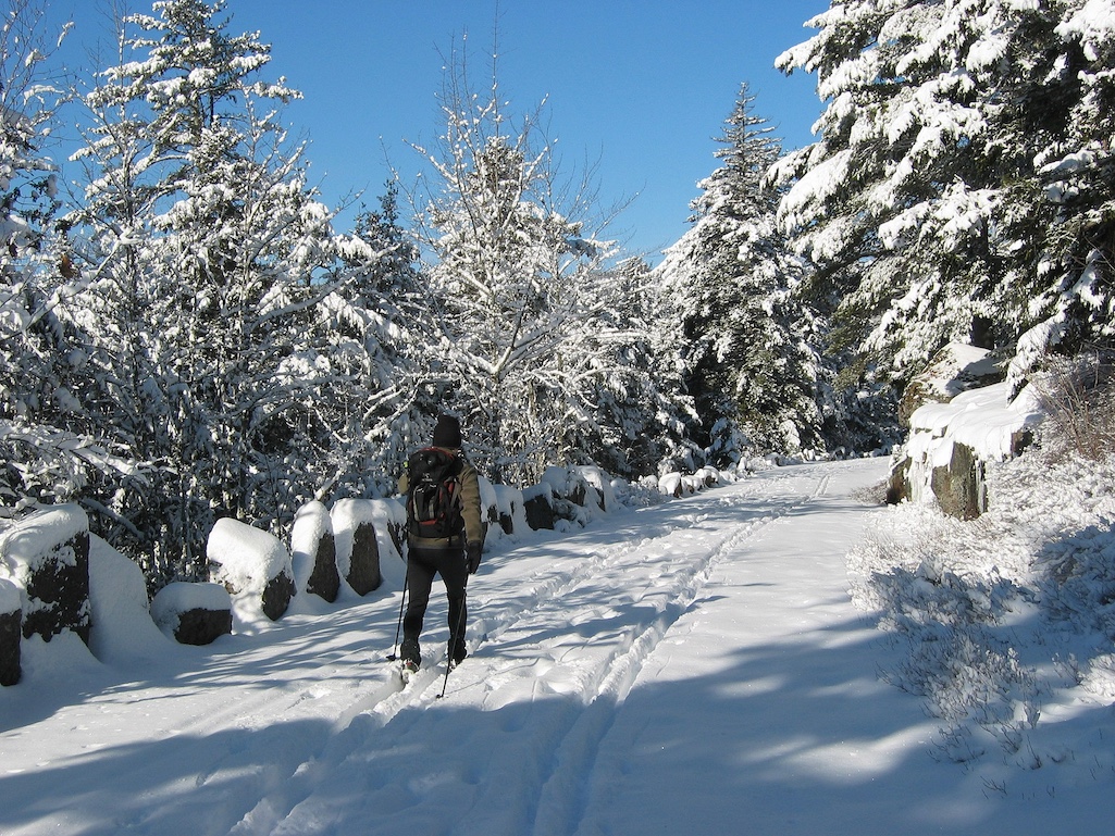 When a storm blankets Acadia in snow, the carriage roads are popular with cross-country skiers/NPS file