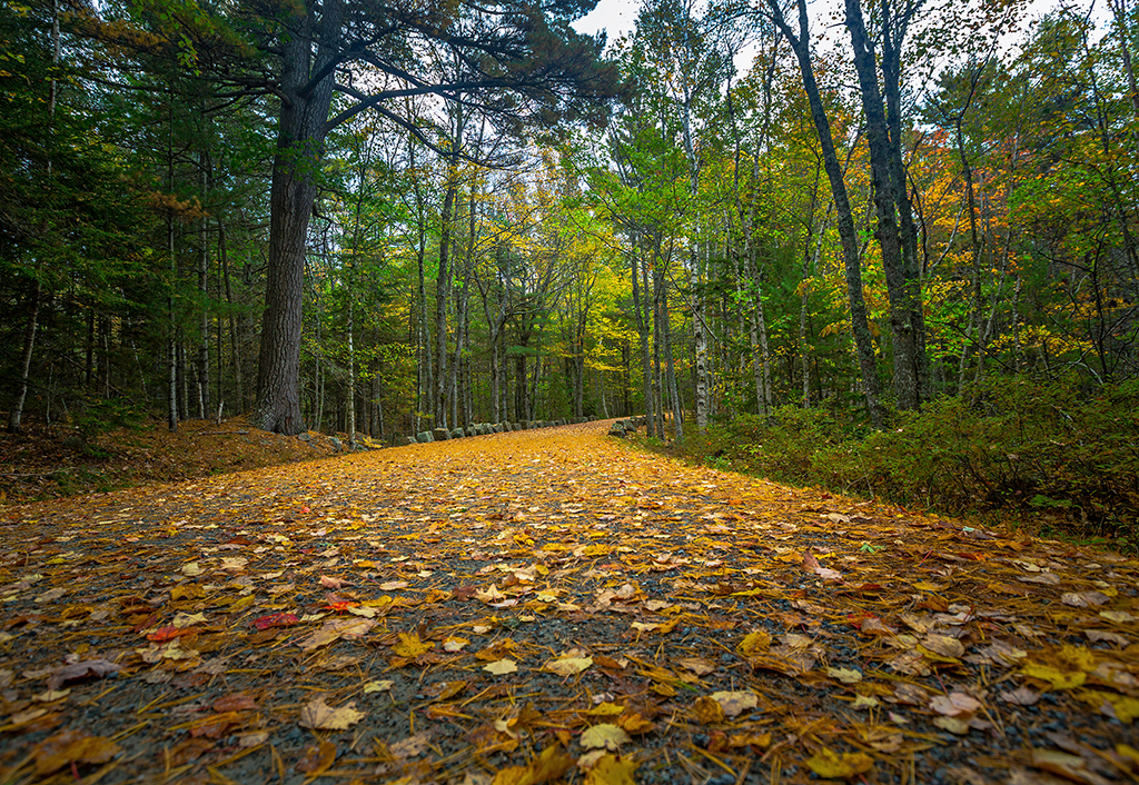 Carriage roads in Acadia National Park will be closed until further notice during the spring thaw / Rebecca Latson file Carriage roads in Acadia National Park will be closed until further notice during the spring thaw / Rebecca Latson file