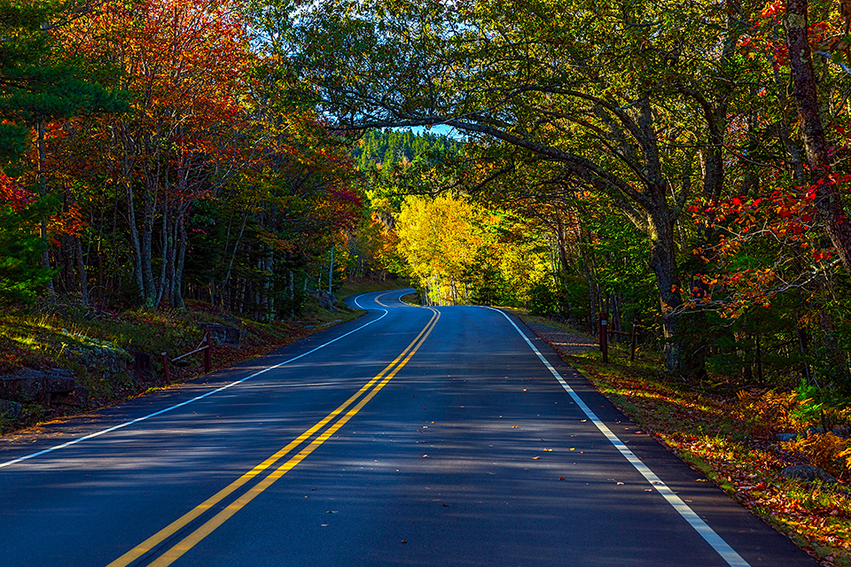 The park loop road, Acadia National Park / Rebecca Latson