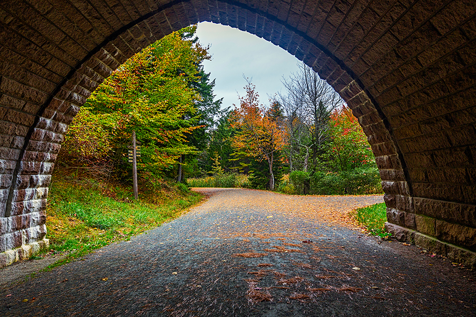 Get ready for a busy 2023 season at Acadia National Park by planning ahead. / Rebecca Latson file