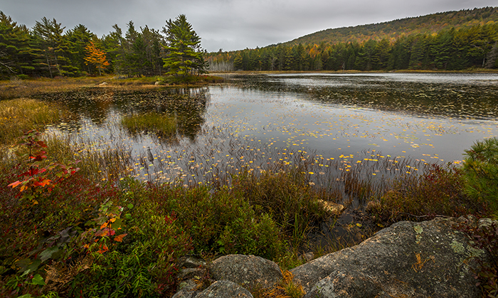 A moody autumn day, Acadia National Park / Rebecca Latson A moody autumn day, Acadia National Park / Rebecca Latson