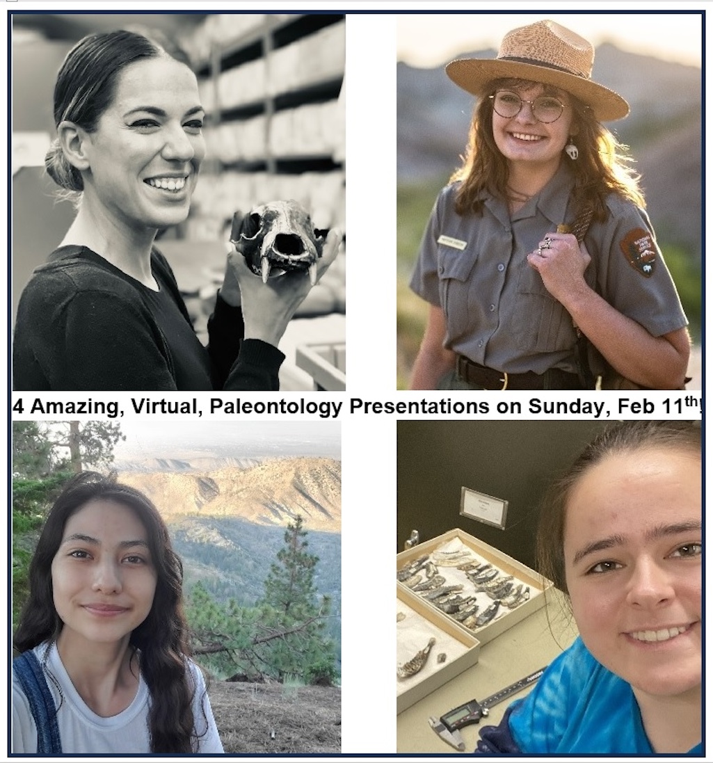 Daniella Balassa (top left), Mattison Shreero (top right), Sunshyne Santos (bottom left), and Kristin Watmore (bottom right) will present their research virtually.