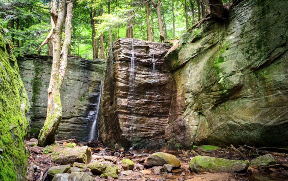 Landscape within the proposed Allegheny National Park/alleghenynationalpark.com
