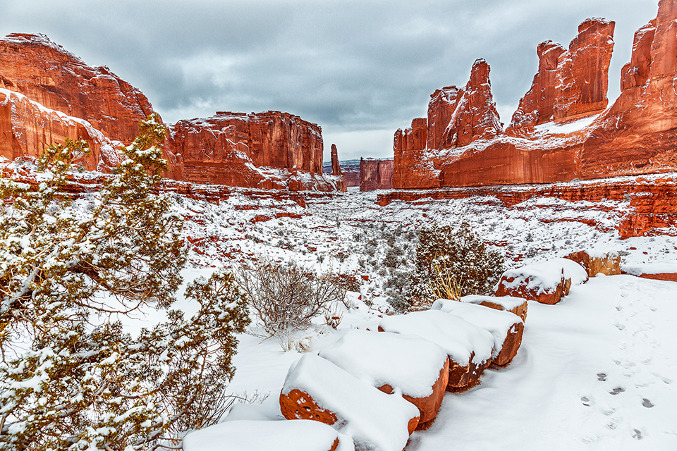 A snowy morning at Park Avenue, Arches National Park / Rebecca Latson A snowy morning at Park Avenue, Arches National Park / Rebecca Latson