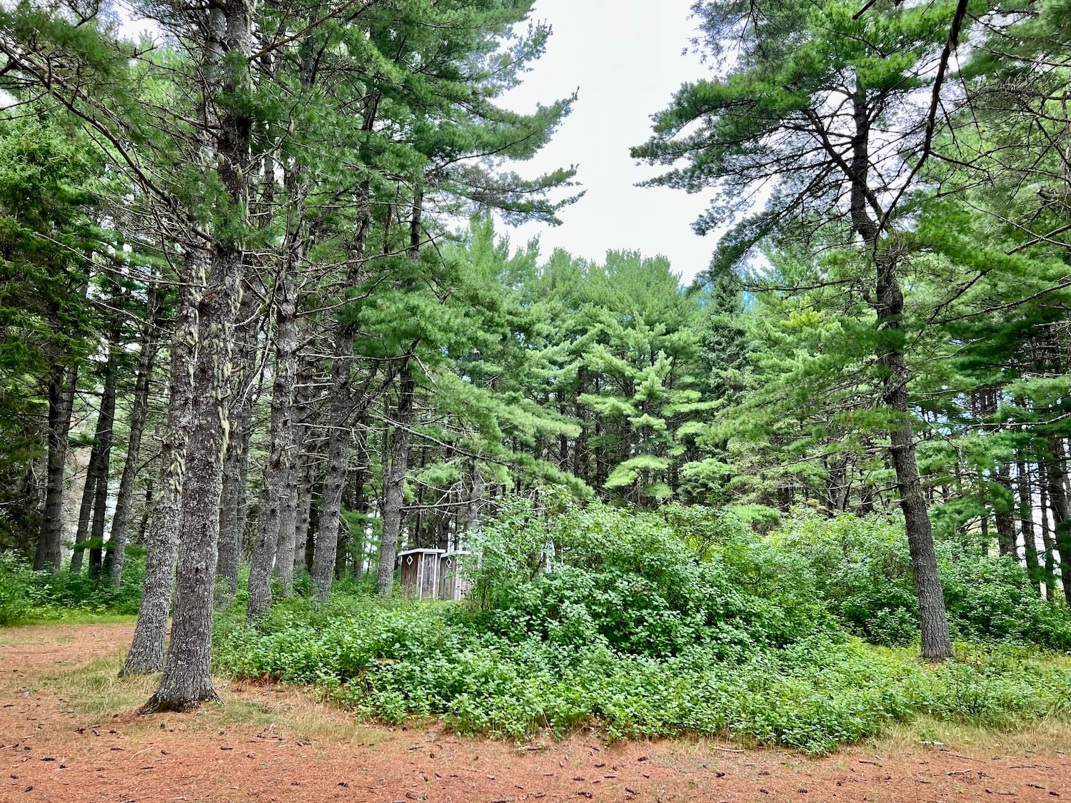 Outhouses are nestled discreetly among the pines on Beaubears Island. Outhouses are nestled discreetly among the pines on Beaubears Island.