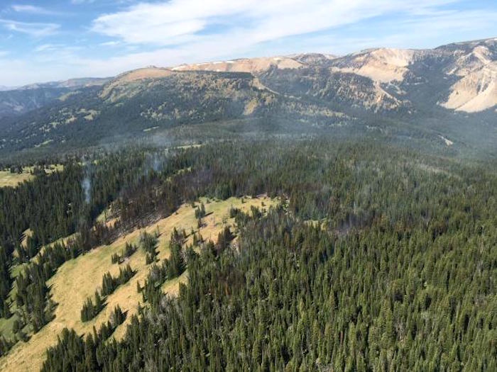 Bacon Rind Fire, Yellowstone National Park/USFS
