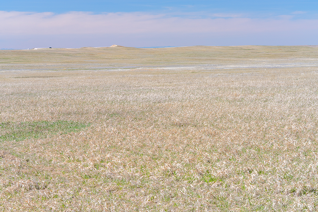 A view across the prairie toward Sage Creek Rim Road in the distance, Badlands National Park / Rebecca Latson A view across the prairie toward Sage Creek Rim Road in the distance, Badlands National Park / Rebecca Latson