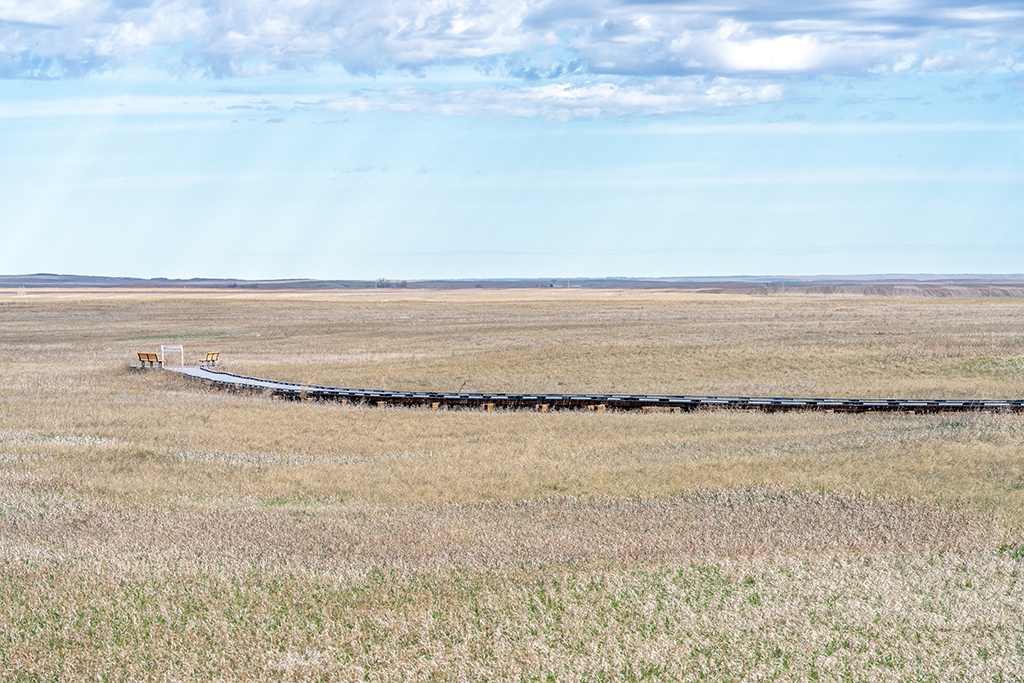 A mixed-grass prairie view at Prairie Wind Overlook, Badlands National Park / Rebecca Latson