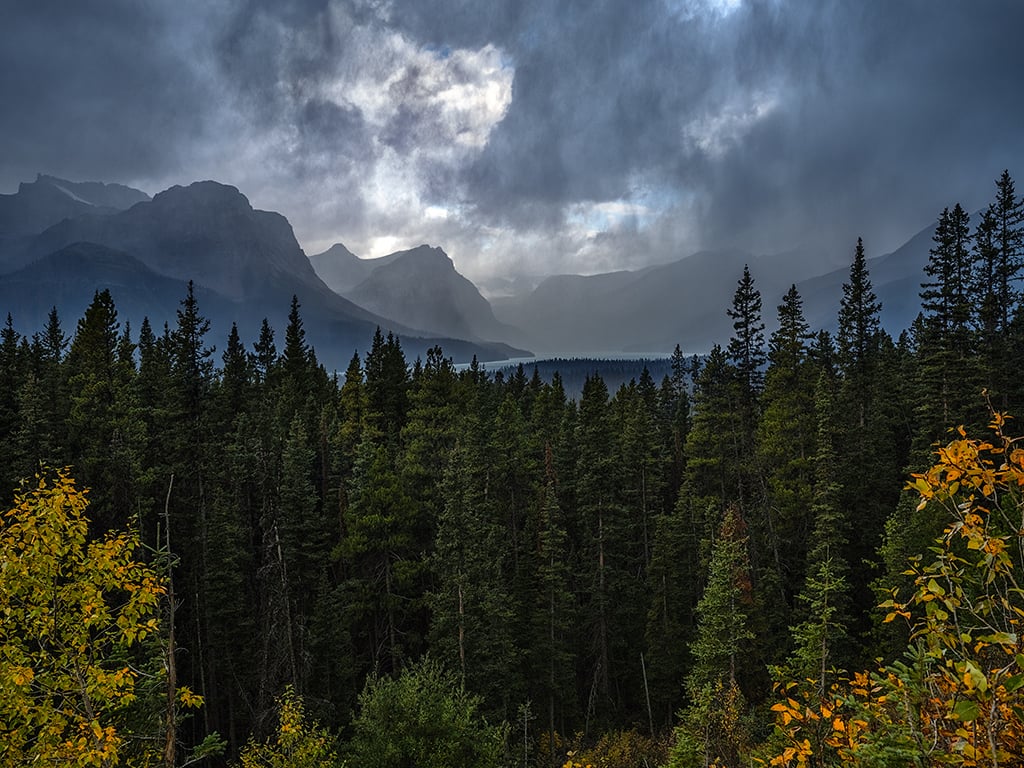 Icefields Parkway September vista, Banff National Park / Rebecca Latson Icefields Parkway September vista, Banff National Park / Rebecca Latson