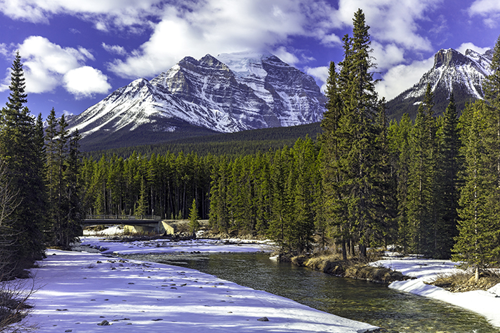 Morning View At The Bow River, Banff National Park / Rebecca Latson Morning View At The Bow River, Banff National Park / Rebecca Latson