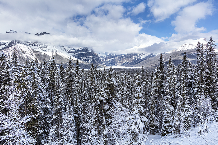 Spring Vista Along The Icefield Parkway, Banff National Park / Rebecca Latson Spring Vista Along The Icefield Parkway, Banff National Park / Rebecca Latson