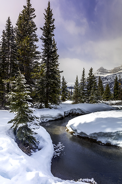 A Snowy Spring Scene, Banff National Park / Rebecca Latson A Snowy Spring Scene, Banff National Park / Rebecca Latson
