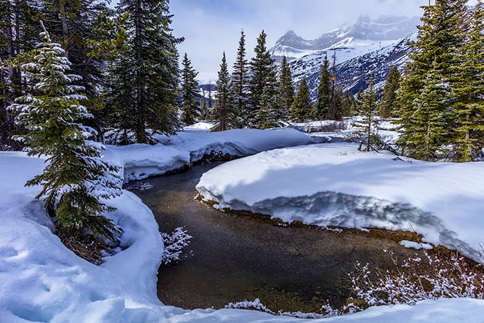 A Snowy Spring Scene, Banff National Park / Rebecca Latson A Snowy Spring Scene, Banff National Park / Rebecca Latson