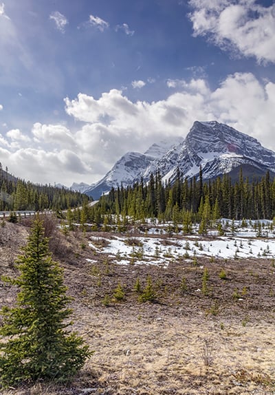 Icefield Parkway Scenery, Banff National Park / Rebecca Latson Icefield Parkway Scenery, Banff National Park / Rebecca Latson
