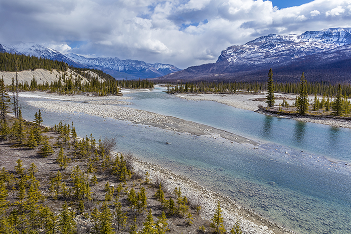 The View Looking Toward The Northeast At Saskatchewan Crossing, Banff National Park / Rebecca Latson The View Looking Toward The Northeast At Saskatchewan Crossing, Banff National Park / Rebecca Latson