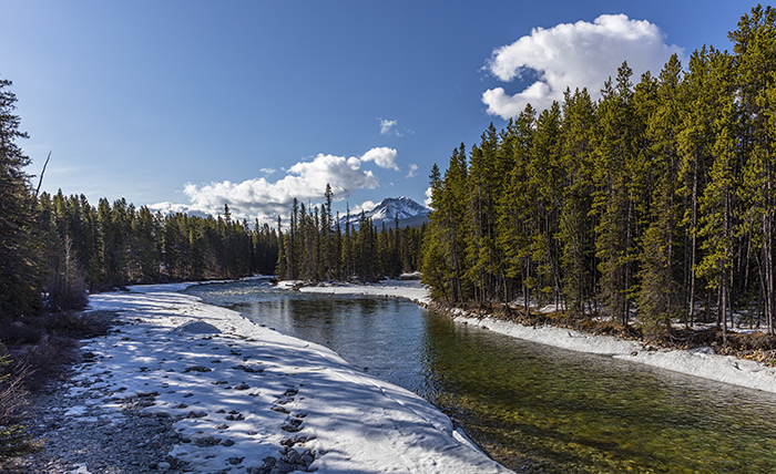 Bow River Vista, Banff National Park / Rebecca Latson Bow River Vista, Banff National Park / Rebecca Latson