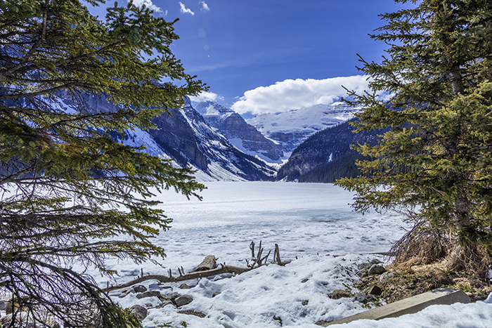 Mid-Afternoon On Lake Louise, Banff National Park / Rebecca Latson Mid-Afternoon On Lake Louise, Banff National Park / Rebecca Latson