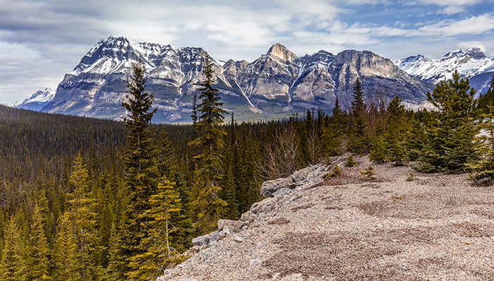Mountain Vista Along The Icefield Parkway, Banff National Park / Rebecca Latson Mountain Vista Along The Icefield Parkway, Banff National Park / Rebecca Latson