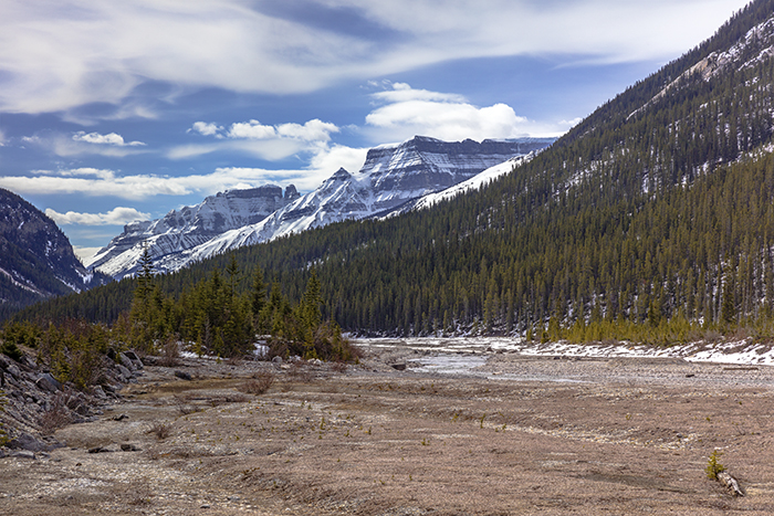 The View Downriver, Banff National Park / Rebecca Latson The View Downriver, Banff National Park / Rebecca Latson