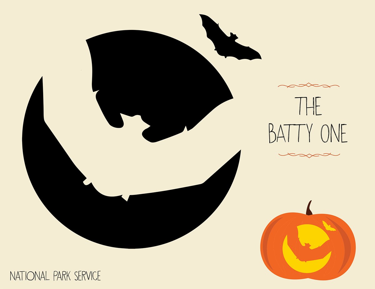 Bats template/NPS Bats template/NPS