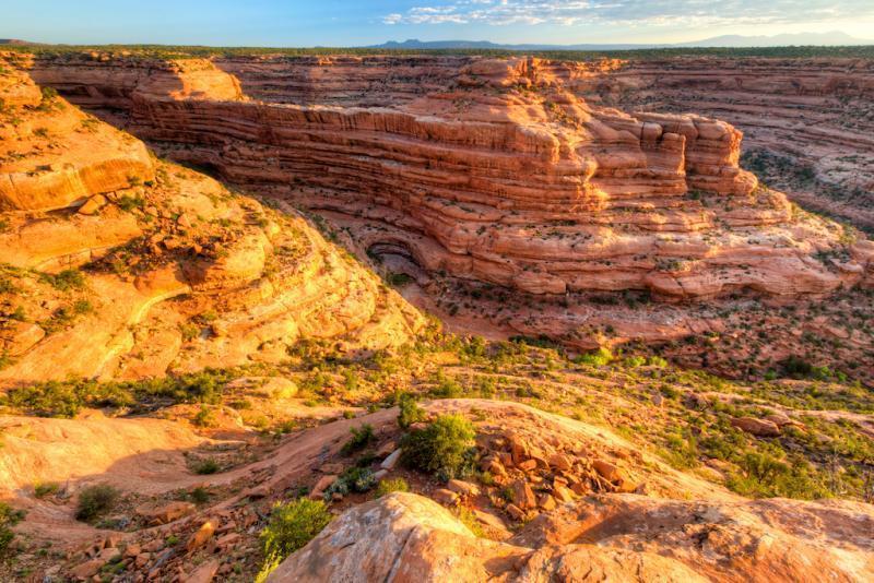 Tribes moved on Friday to intervene in lawsuits seeking to overturn the boundaries of Bears Ears National Monument in southeastern Utah/BLM