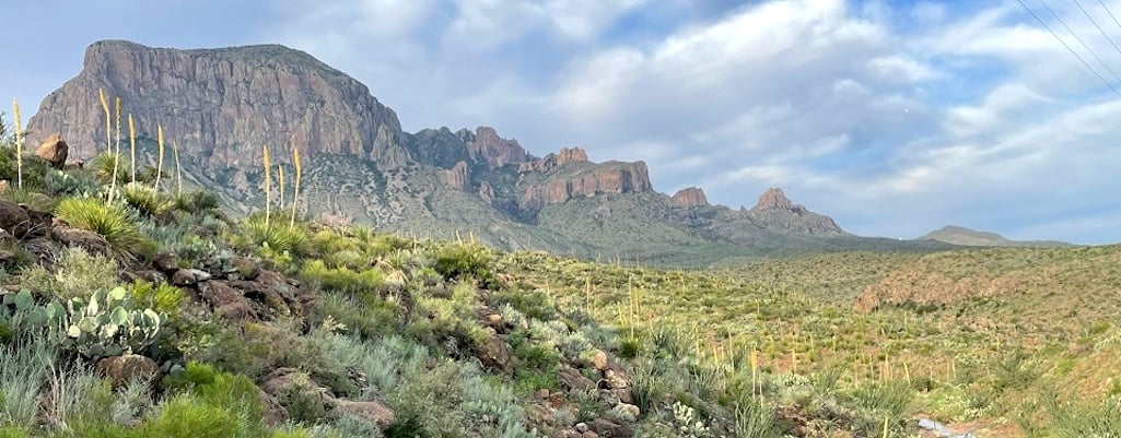 Spring is the busiest time of year in Big Bend and park visitors should be prepared for limited parking, full campgrounds and lodging. NPS / C. Negele