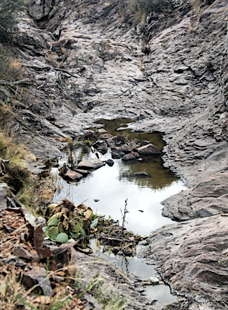 The park likes to say that all the water sources are always dry, so that you'll bring enough water of your own. That's good advice/Bob Pahre