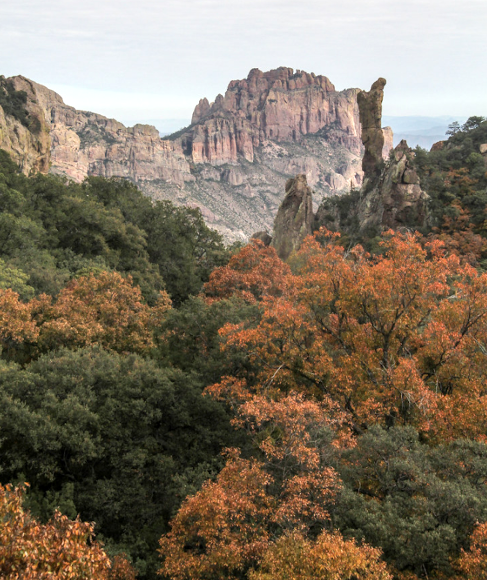 Even though the calendar said December there still was some color in the park's forests/Bob Pahre