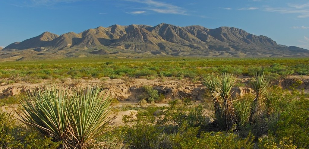 Part of the Harte Ranch that was donated to Big Bend National Park/NPS file