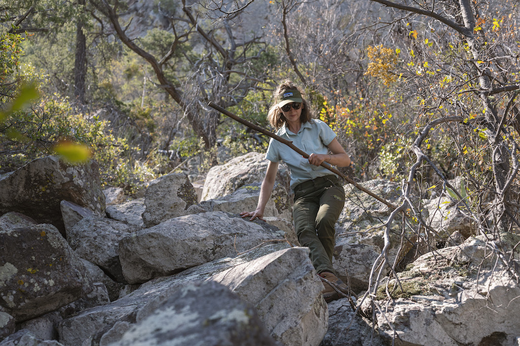 The search required clambering over rugged territory at times/U.S. Botanic Garden