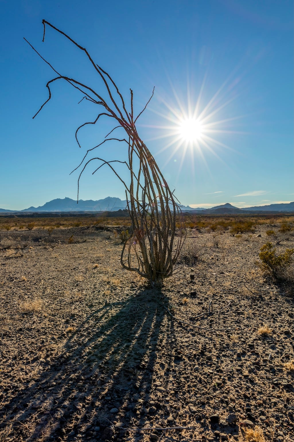 Drought conditions are causing water problems for Big Bend National Park/Rebecca Latson file
