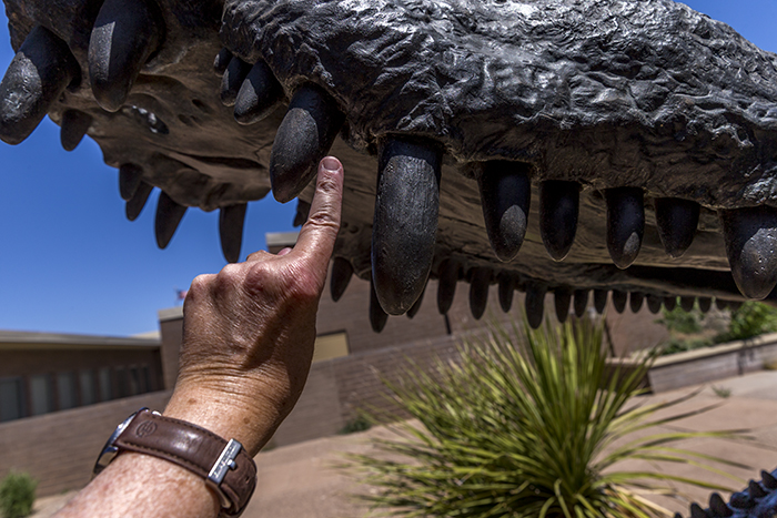 A Tooth Bigger Than My Finger A Tooth Bigger Than My Finger