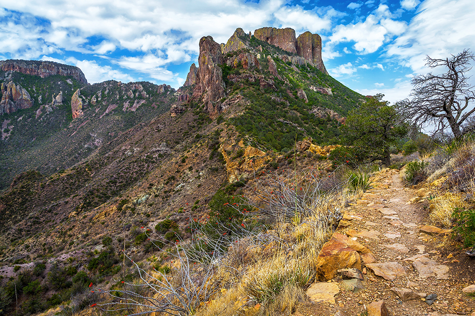 A view of Casa Grande along the Lost Mine Trail, Big Bend National Park / Rebecca Latson